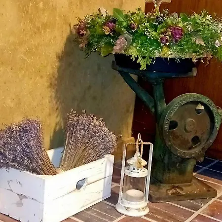 Agroturystyka Czmon * Czmon